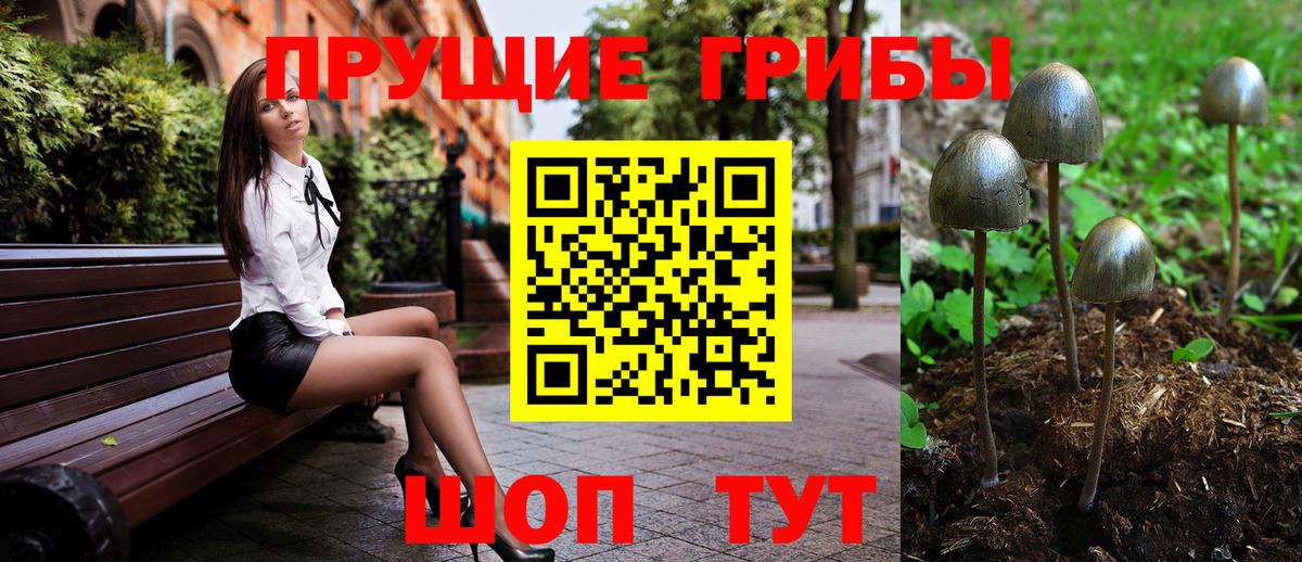 Галлюциногенные грибы мухоморы  Северск 